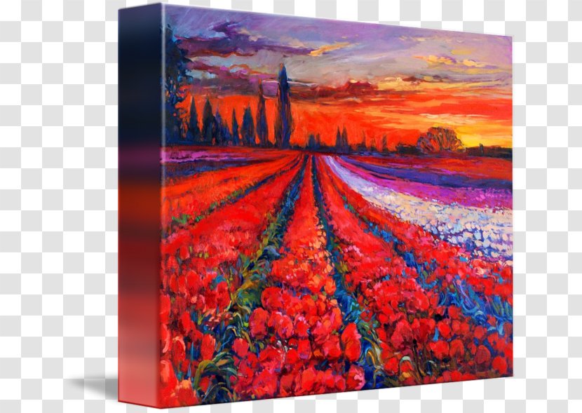 Oil Painting Reproduction Watercolor Landscape - Color - Poppy Field Transparent PNG