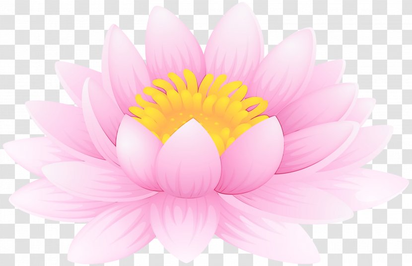 Drawing Of Family - Pink - Daisy Wildflower Transparent PNG