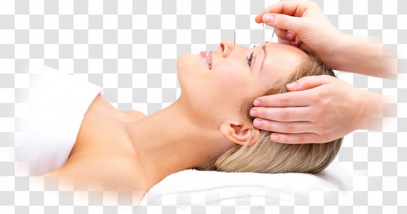 Acupuncture Alternative Health Services Back Pain Headache Therapy Transparent PNG
