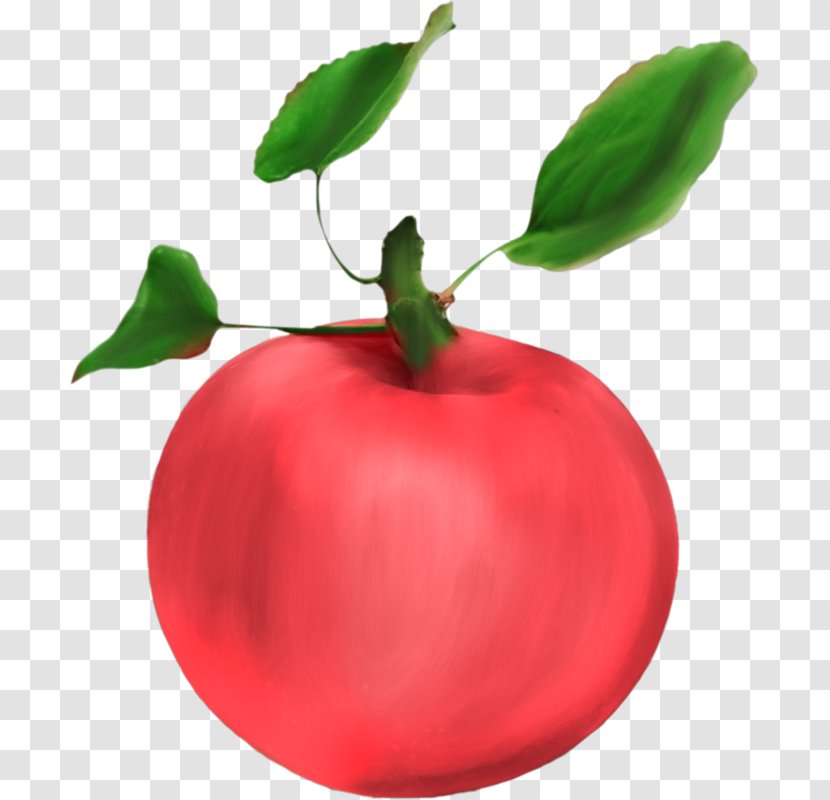 Apple Food Fruit Clip Art - Vegetable - Hand-painted Red Transparent PNG