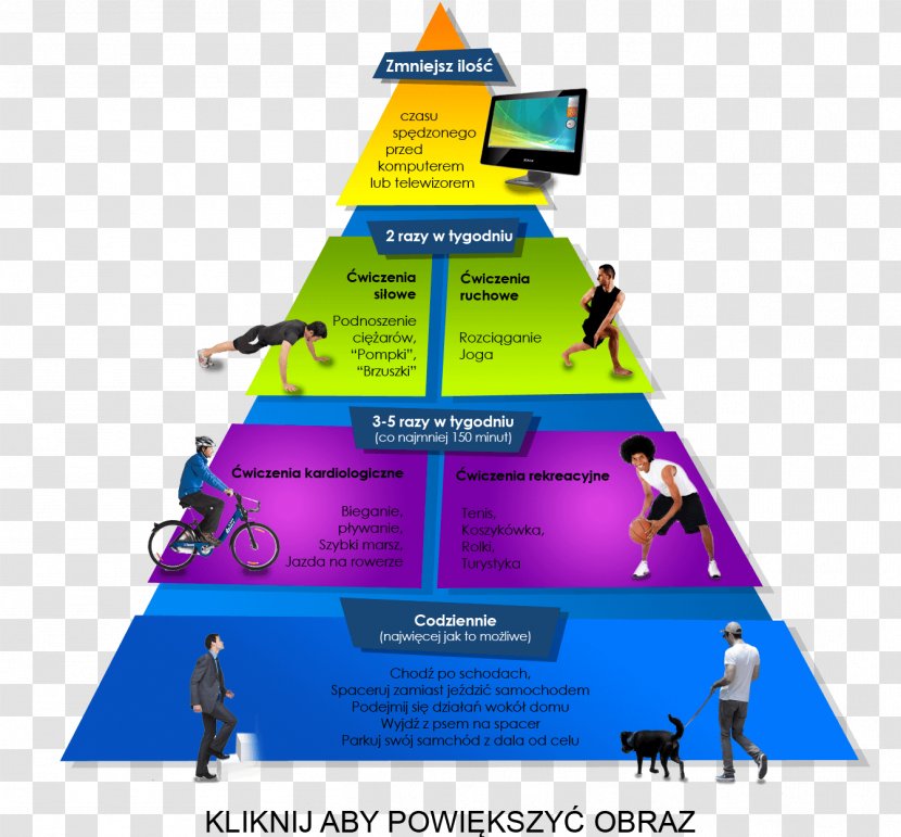 Physical Activity Health Motion Diabetes Mellitus Overweight - Nutrition Transparent PNG