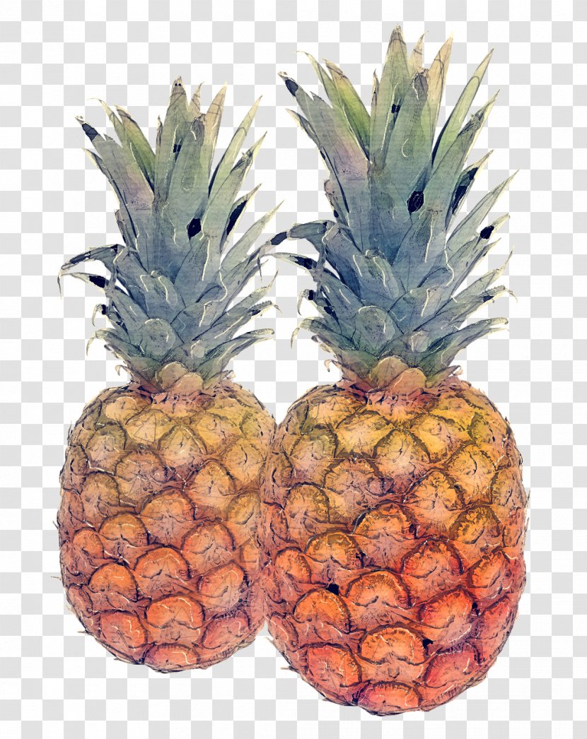 Pineapple - Plant - Superfood Food Transparent PNG