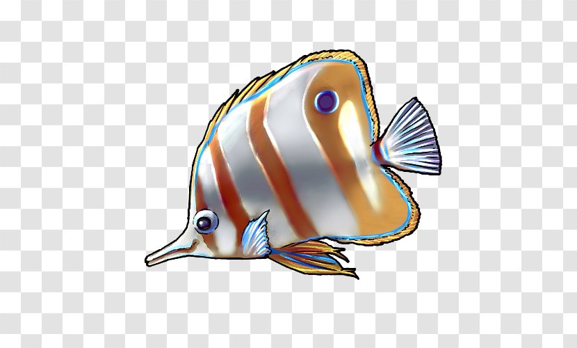 Fish Cartoon - Pomacanthidae - Pomacentridae Transparent PNG