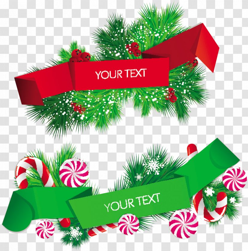 Christmas Web Banner Clip Art - Pine Family - WordPad Collection Transparent PNG