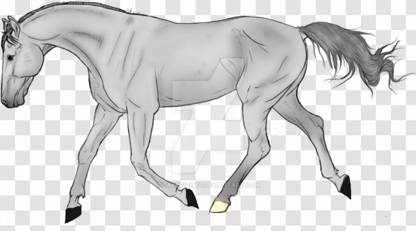Horse Cartoon - Animal Figure - Tail Colt Transparent PNG