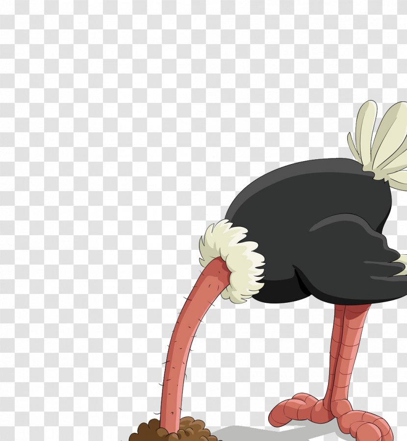 Common Ostrich Bird Stock Photography Clip Art - Royaltyfree - Meng Stay Transparent PNG