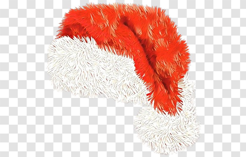 Feather - Stole - Cat Toy Transparent PNG