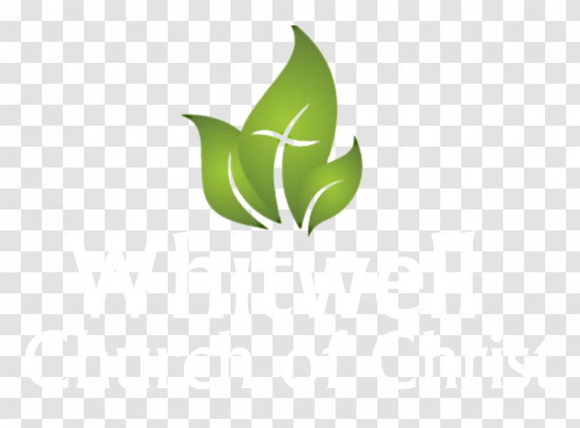 Logoworks Graphic Design Transparent PNG