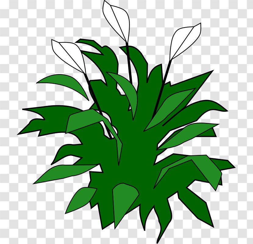 Spathiphyllum Wallisii Favicon Free Content Clip Art - Peace Lily - Cool Biohazard Symbols Transparent PNG