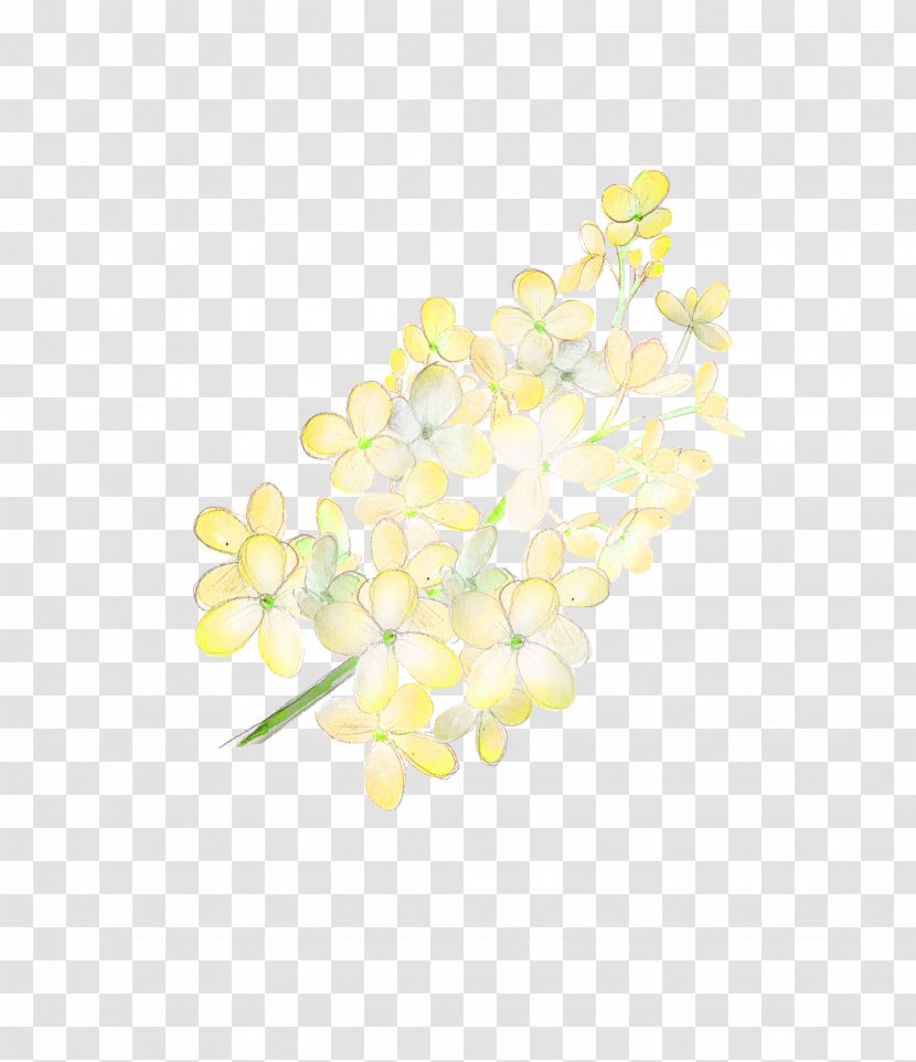 Yellow Download - Floral Design - A Bouquet Of Flowers Transparent PNG