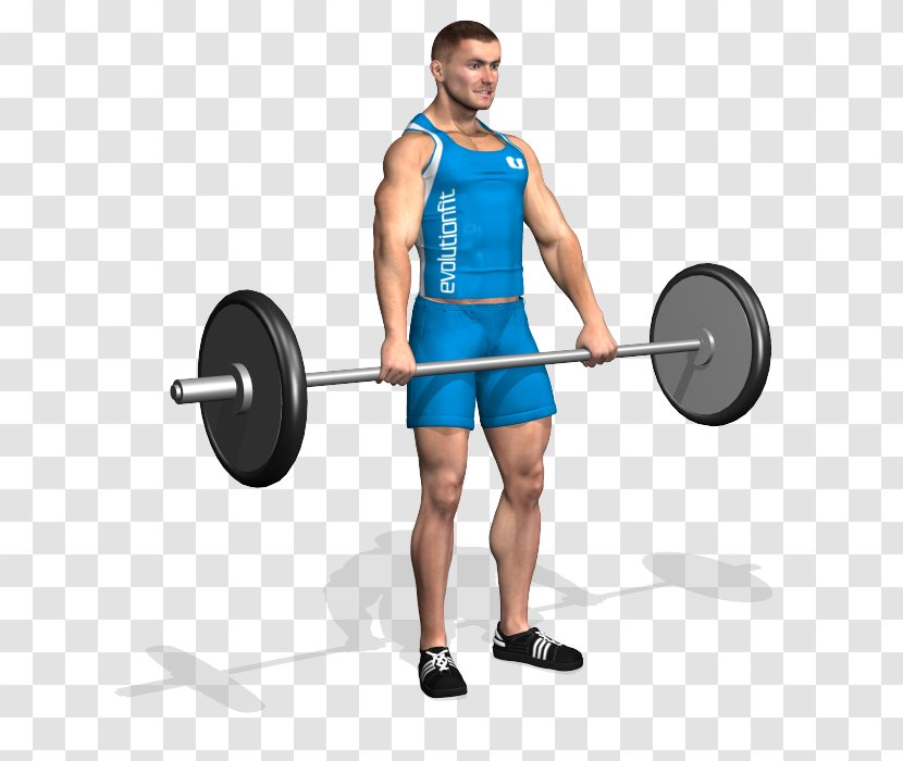 Barbell Weight Training Physical Exercise Muscle Bodybuilding - Heart Transparent PNG