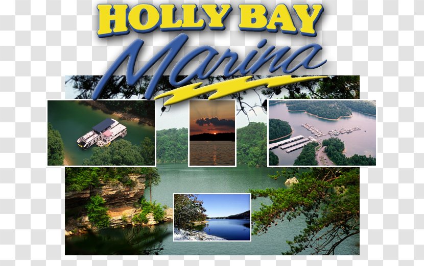 Laurel River Lake London Whitley County, Kentucky Holly Bay Marina Cumberland Gap - Ciliary Body Transparent PNG
