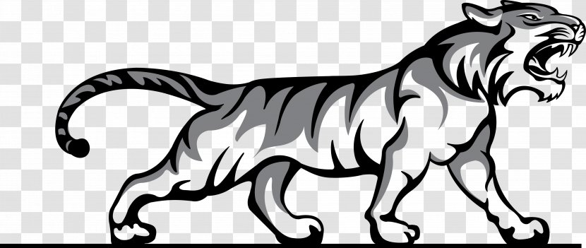 Tiger Logo Willard Middle School Sport Wildlife - Big Cats - Tigers Transparent PNG