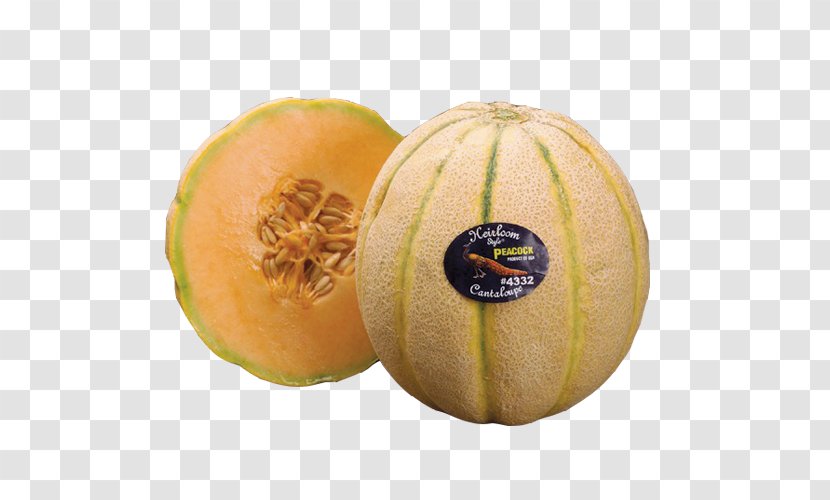 Honeydew Cantaloupe Galia Melon Cucurbita - Hami Transparent PNG