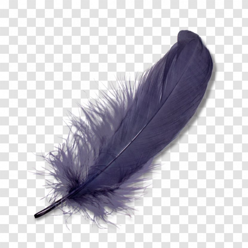 Feather Clip Art - Color - Purple Feathers Falling Transparent PNG