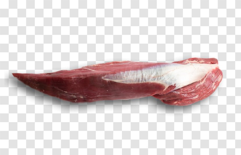 Prosciutto Bayonne Ham Game Meat Cecina - Frame - Fillet Steak Transparent PNG