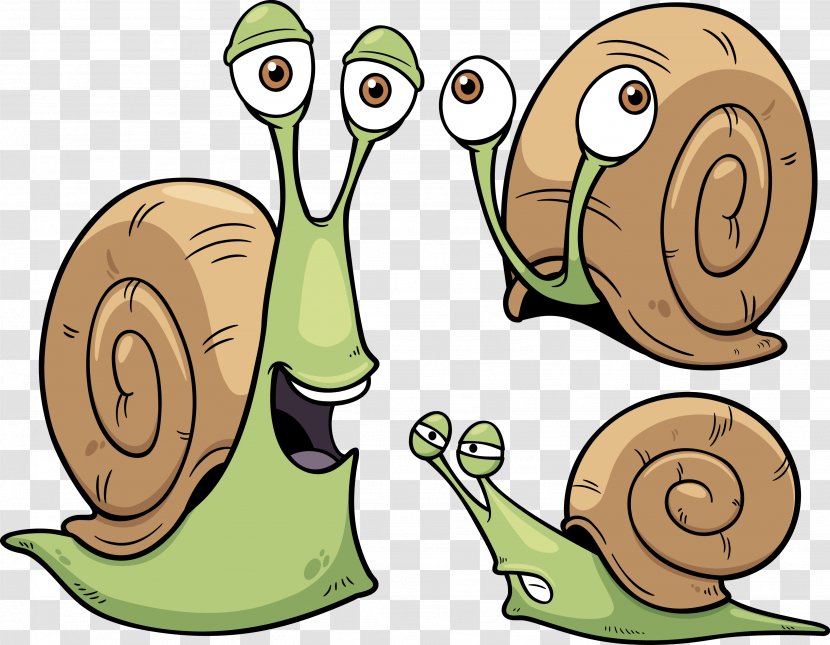 Snail Cartoon Seashell - Snails And Slugs Transparent PNG