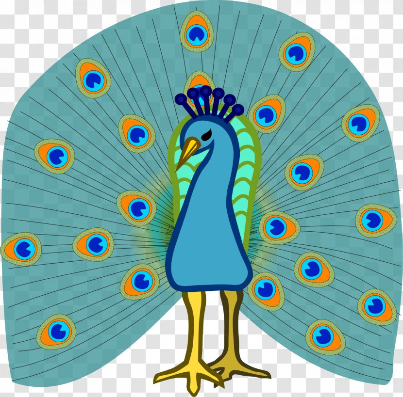 Bird Peafowl Drawing Clip Art - Free Content - Vector Peacock Transparent PNG