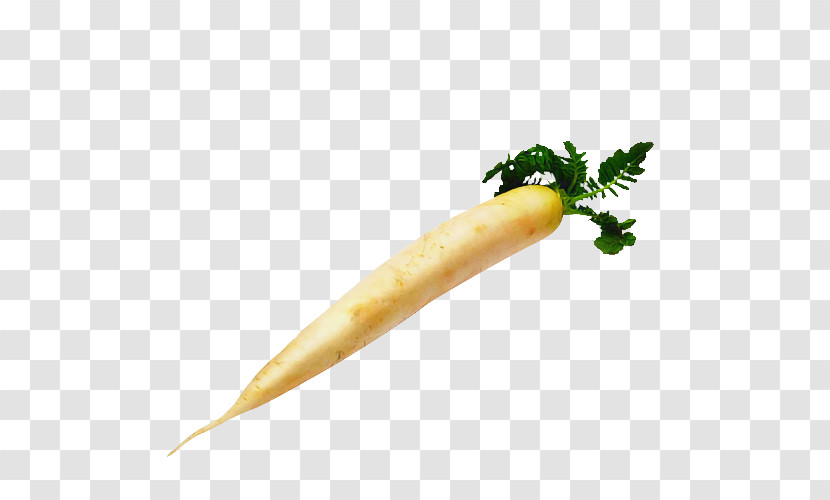 Plant Stem Vegetable Radish Carrot Plant Transparent PNG