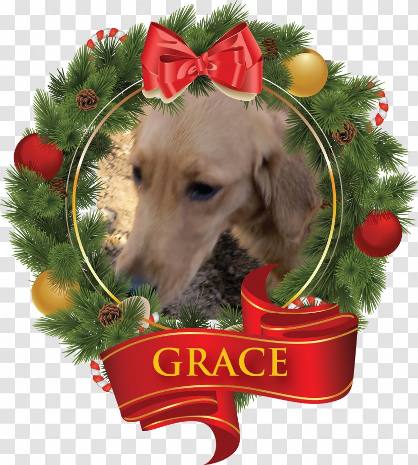 Dog Breed Puppy Christmas Ornament - Whippet - Spring Festival Gala Transparent PNG