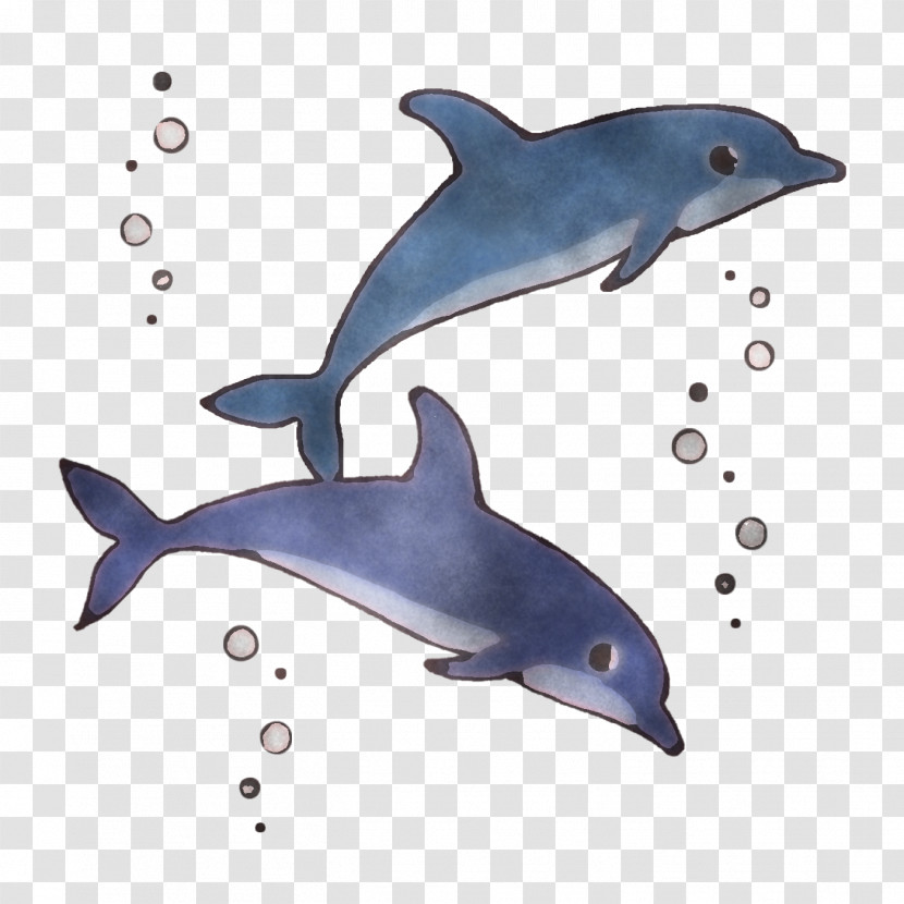 Short-beaked Common Dolphin Rough-toothed Dolphin Wholphin White-beaked Dolphin Porpoise Transparent PNG
