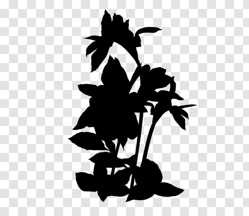 Clip Art Flower Plant Stem Leaf Silhouette - Botany Transparent PNG