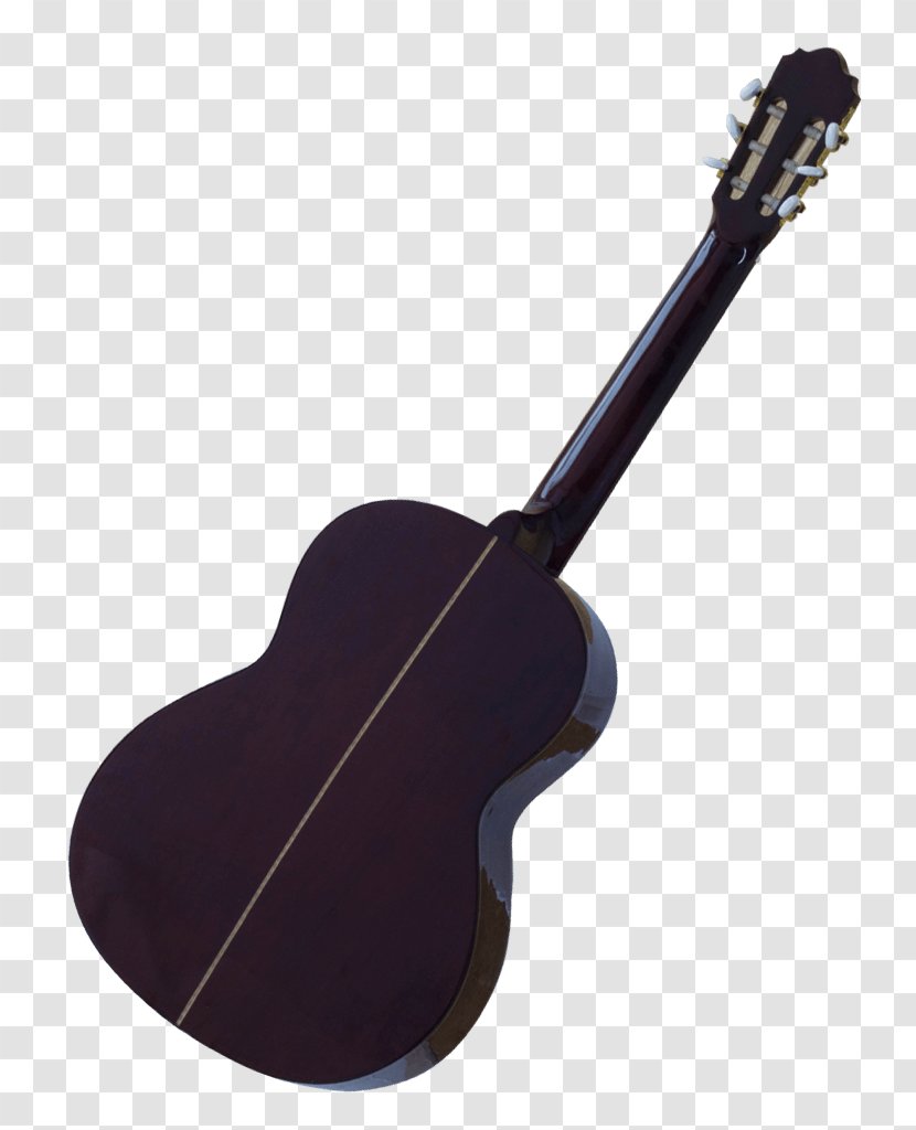 Acoustic Guitar Cavaquinho Bass Tiple Acoustic-electric - Tree Transparent PNG