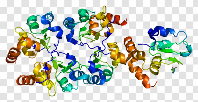 BIRC7 Gene Protein RING Finger Domain Microphthalmia-associated Transcription Factor - Silhouette - Watercolor Transparent PNG