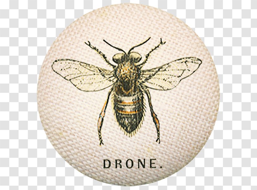 Bee Aircraft Unmanned Aerial Vehicle Drone Quadcopter - DRONE. Transparent PNG