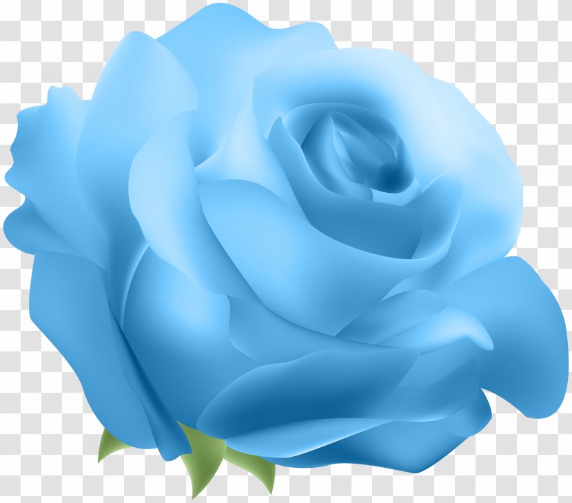 Blue Rose Clip Art - Flower - Deco Transparent PNG