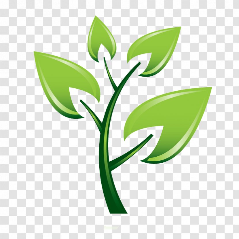 Trees And Shrubs Tree Planting Montrose Services Clip Art - Pruning Transparent PNG
