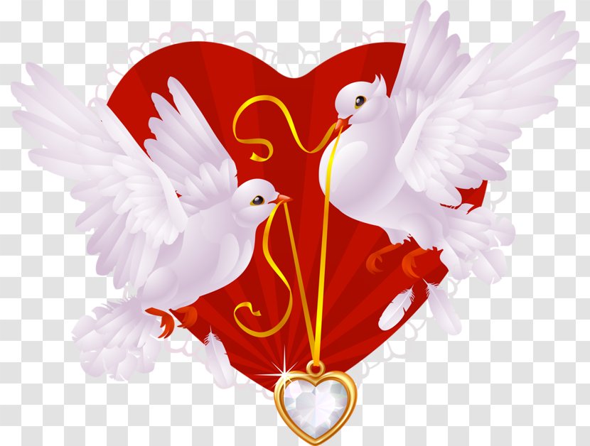 Columbidae Wedding Invitation Illustration - Dangling Love Birds Transparent PNG