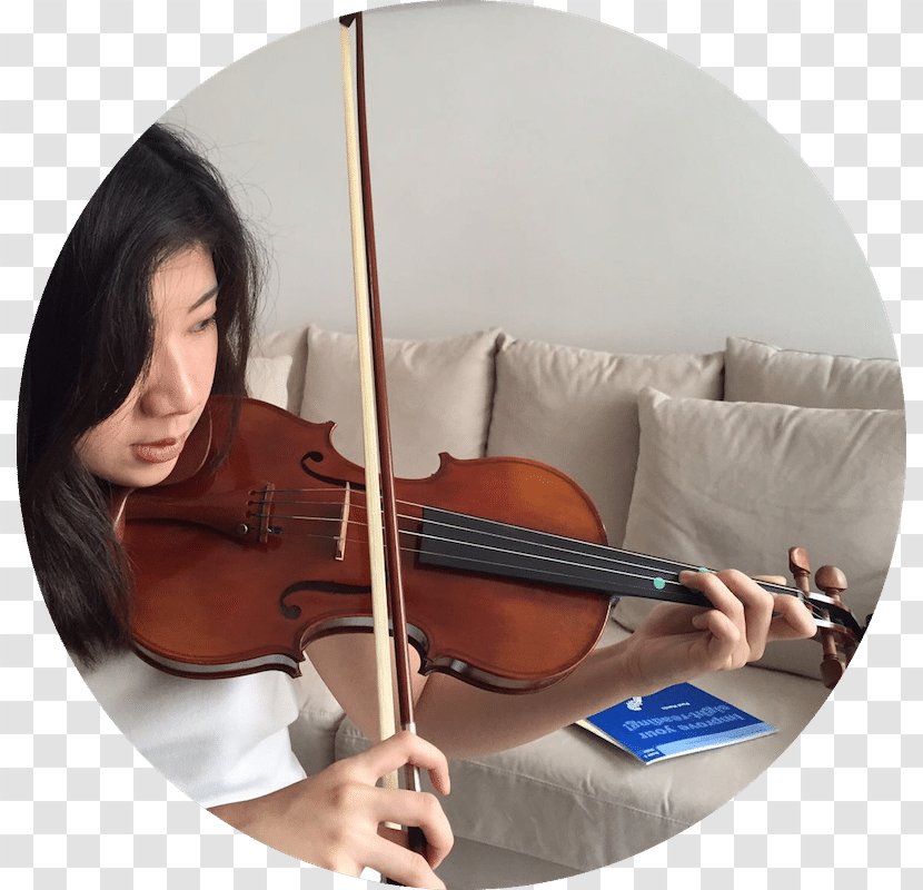 Violone Violin Viola Cello Double Bass - Silhouette Transparent PNG