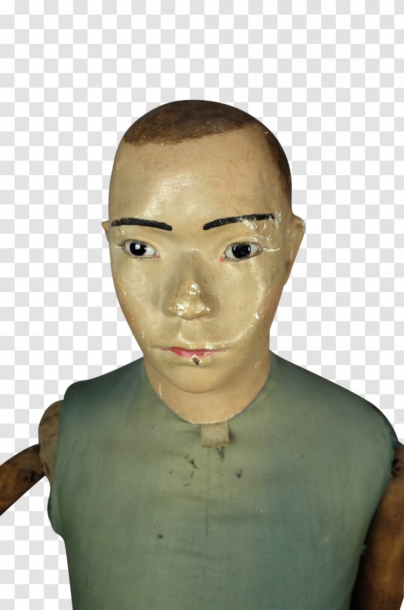 Face Forehead Chin Cheek Eyebrow - Mannequin Transparent PNG