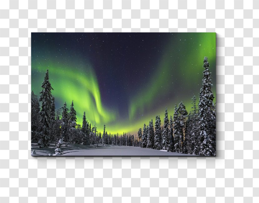 LED-backlit LCD Television Set 4K Resolution Bravia Ultra-high-definition - 4k - Tv Transparent PNG