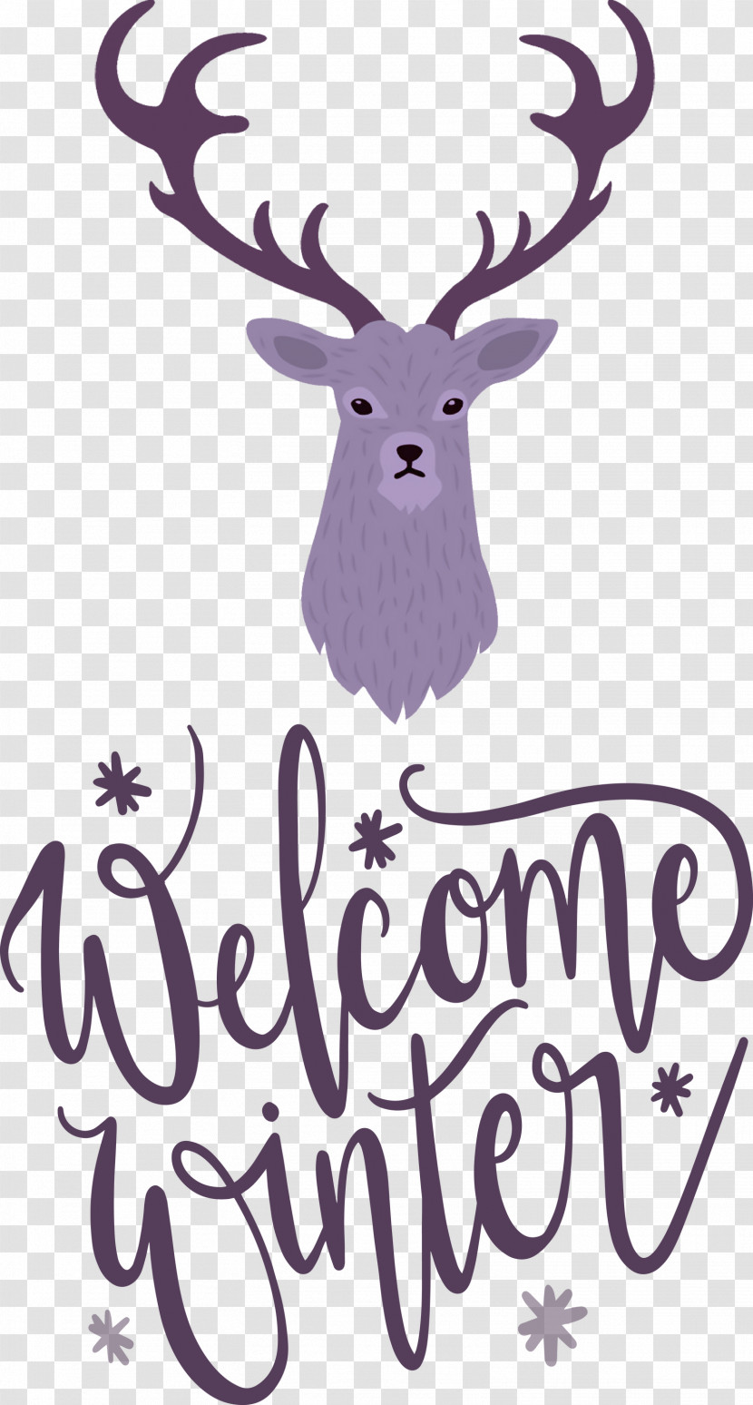 Welcome Winter Transparent PNG
