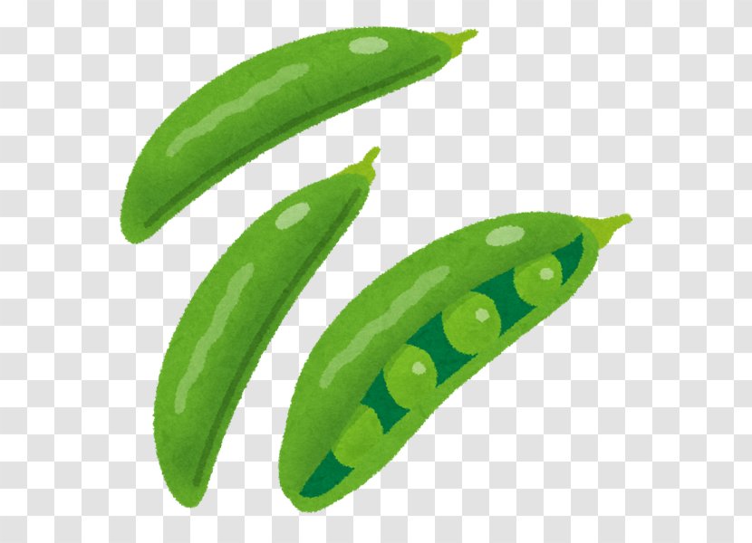 Snow Pea Edible-podded Bean Vegetable Food - Green Peas Transparent PNG