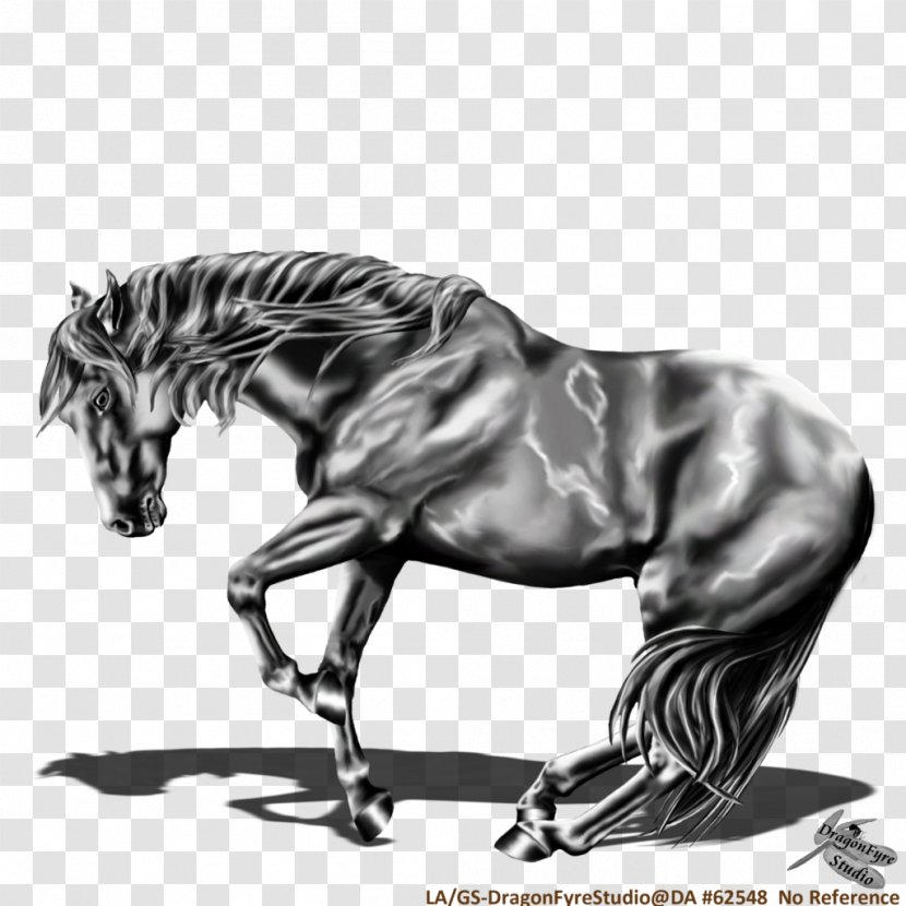 Mane American Quarter Horse Mustang Pony Stallion - Breed Transparent PNG