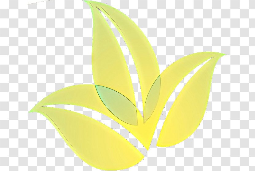 Leaf Yellow Plant Logo Clip Art - Anthurium Flower Transparent PNG