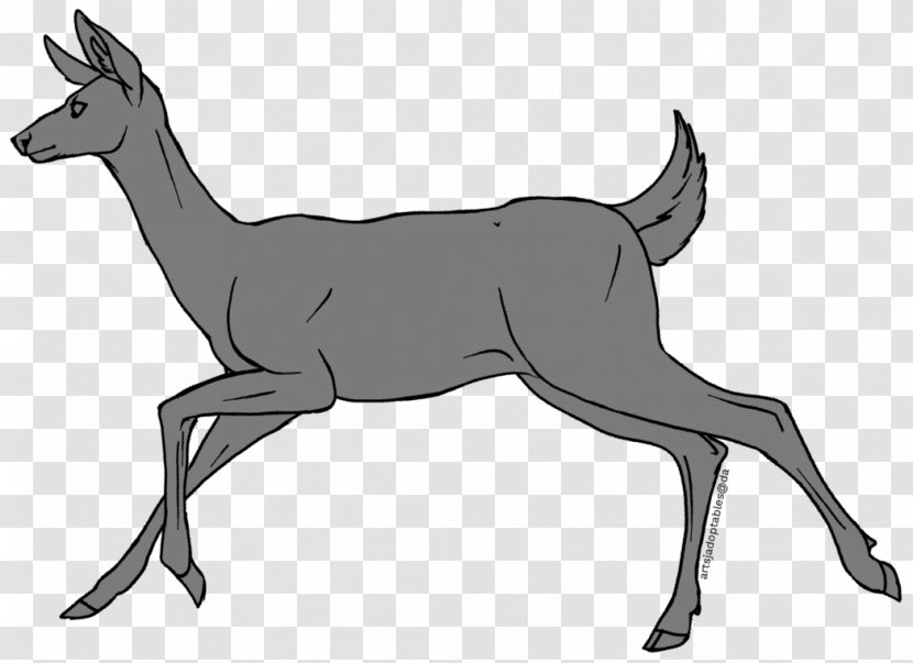 Reindeer Elk Musk Deer Antelope - Pack Animal Transparent PNG