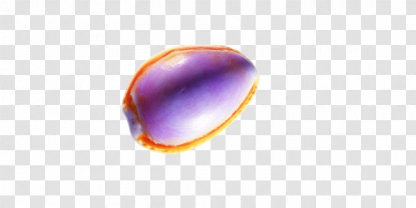 Purple Wallpaper - Close Up - A Shell Transparent PNG