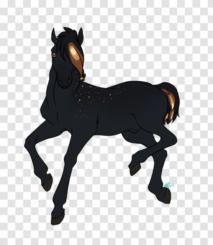 Stallion Mustang Foal Colt Mare - Throw Up Transparent PNG
