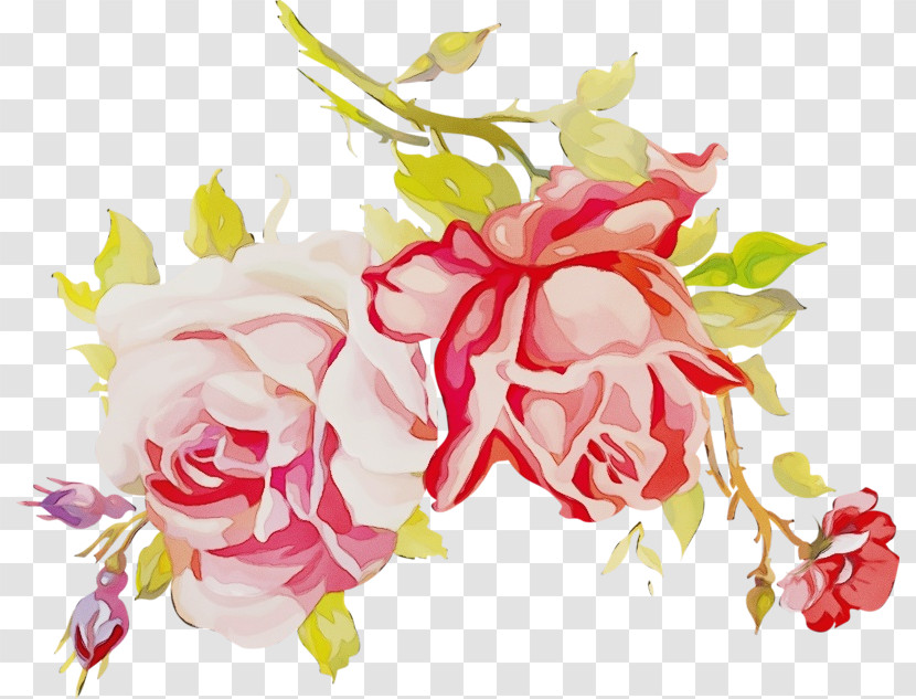 Floral Design Transparent PNG