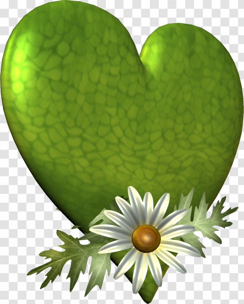 Heart Leaf Clip Art - Flower Transparent PNG