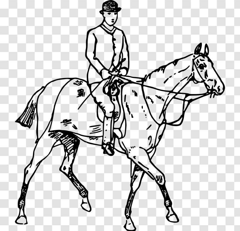 Horse Drawing Equestrian Clip Art - Cowboy Transparent PNG
