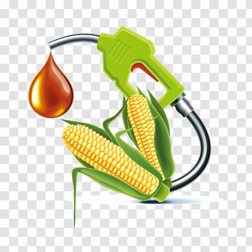 Algae Fuel Biofuel Biodiesel - Petroleum - Creative Pattern Vector Corn Oil Transparent PNG