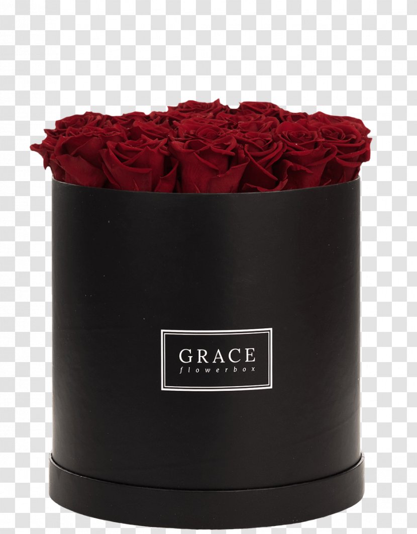 Flower Box Little Black Dress Flowerpot Rose - Interpretace - Red Transparent PNG