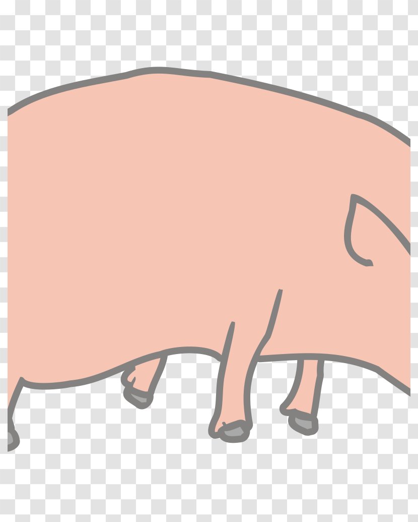 Wild Boar Vietnamese Pot-bellied Clip Art - Nose - Pig Transparent PNG