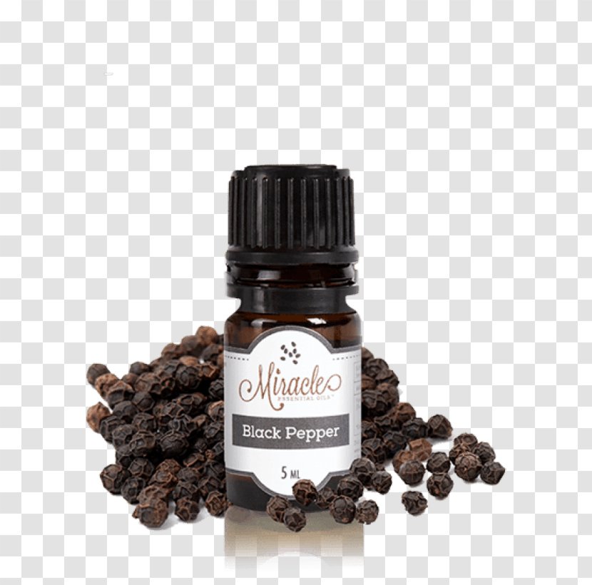 Oil Piper Cubeba Seasoning Spice Basil - Antiseptic - Essential Transparent PNG