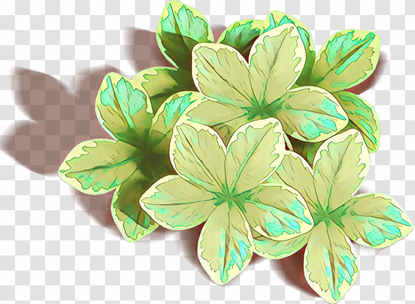 Leaf Flower Plant Petal Symbol Transparent PNG
